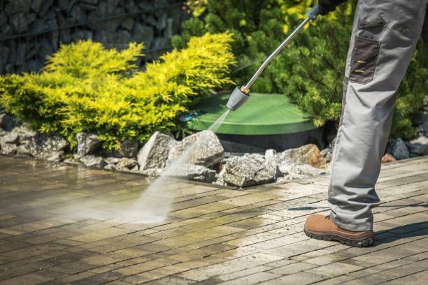 Best Solar Panel Cleaning  in Silverton, OH